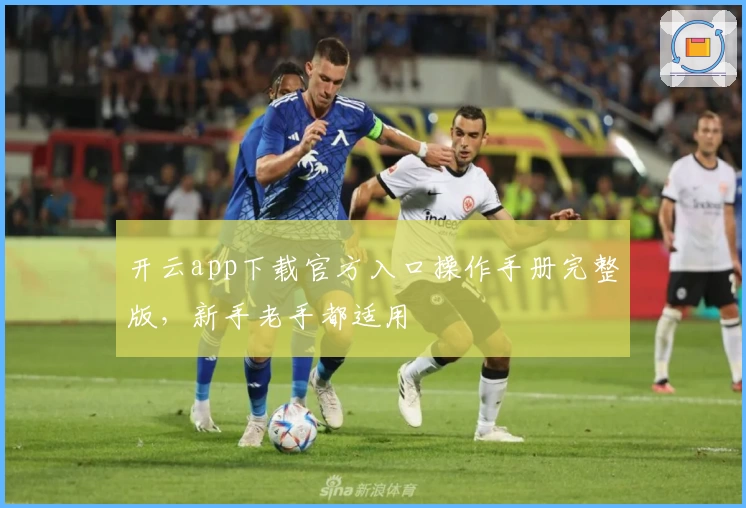 开云app下载官方入口操作手册完整版,新手老手都适用