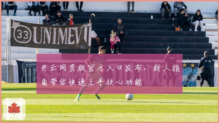 开云网页版官方入口发布，新人指南带你快速上手核心功能